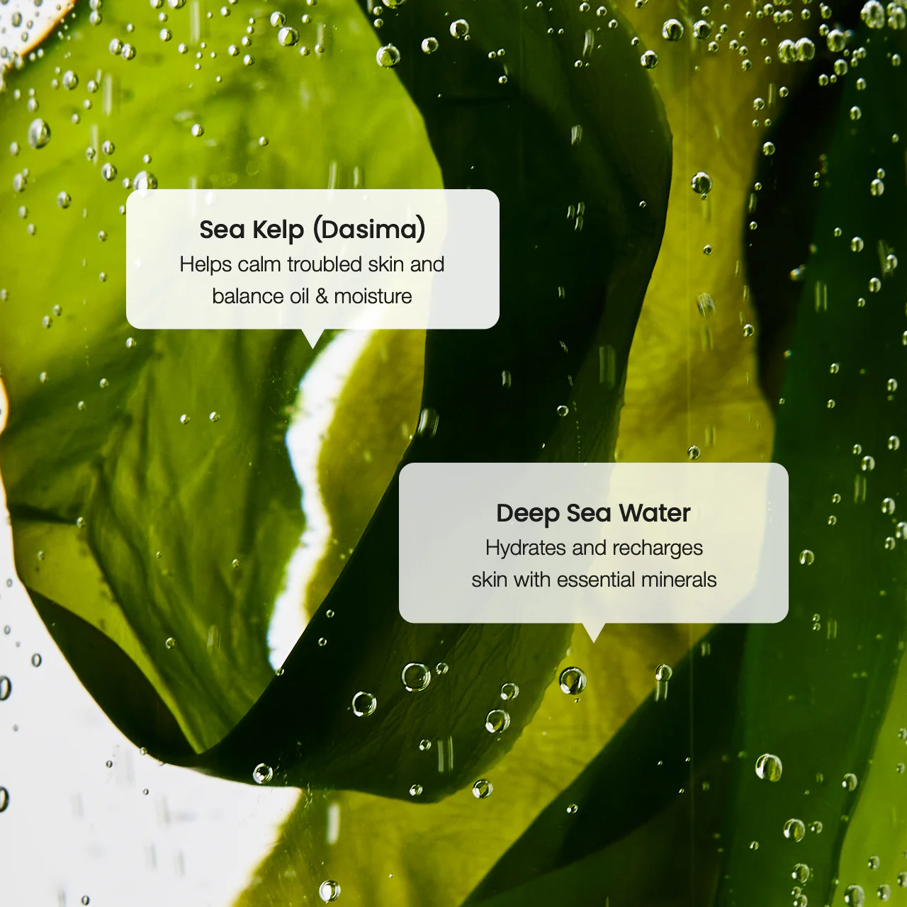 Biodance Refreshing Sea Kelp Serum