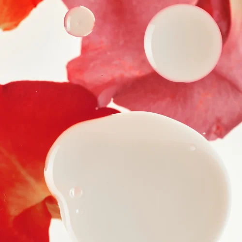 Haruharu Wonder Rose PDRN Soothing Serum 2