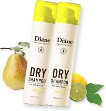NatureLab Diane Perfect Beauty Dry Shampoo
