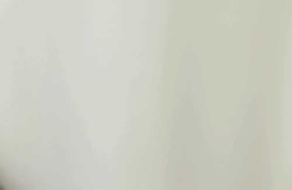 Mixsoon White Rice Peeling Ampoule 4